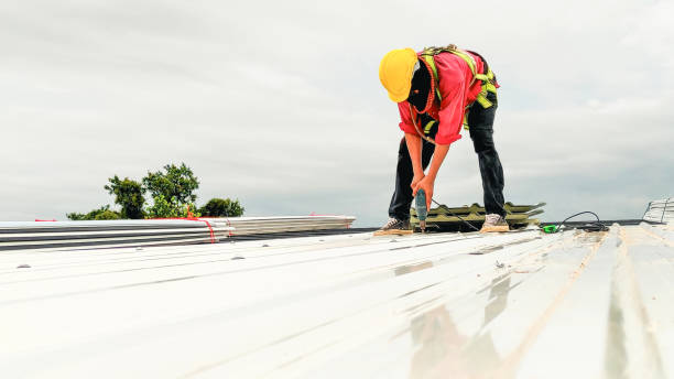 Best Solar Panel Roofing Installation  in Elm Creek, TX