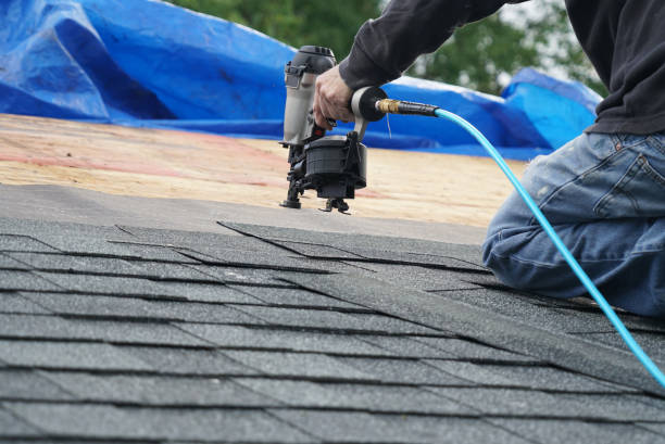 Best Roof Insulation Installation  in Elm Creek, TX